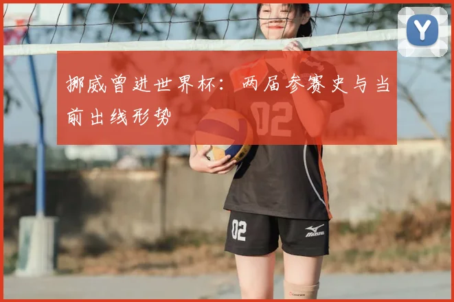 挪威曾进世界杯:两届参赛史与当前出线形势