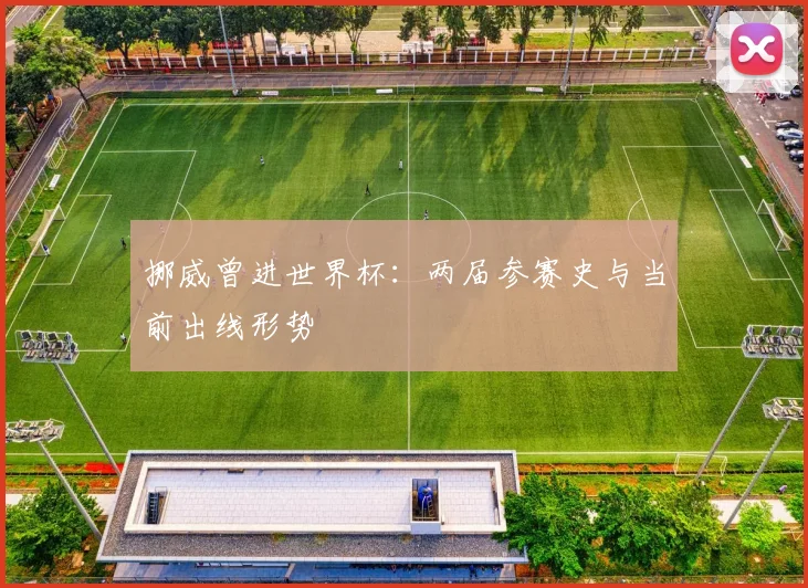 挪威曾进世界杯：两届参赛史与当前出线形势