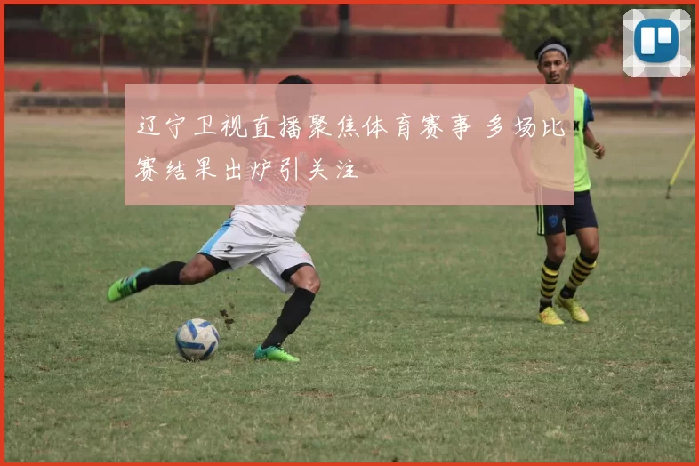 辽宁卫视直播聚焦体育赛事 多场比赛结果出炉引关注