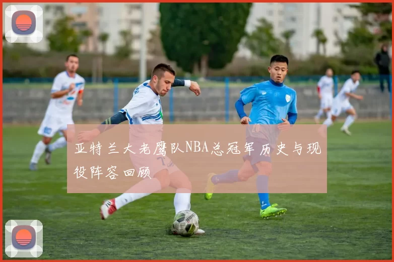 亚特兰大老鹰队NBA总冠军历史与现役阵容回顾