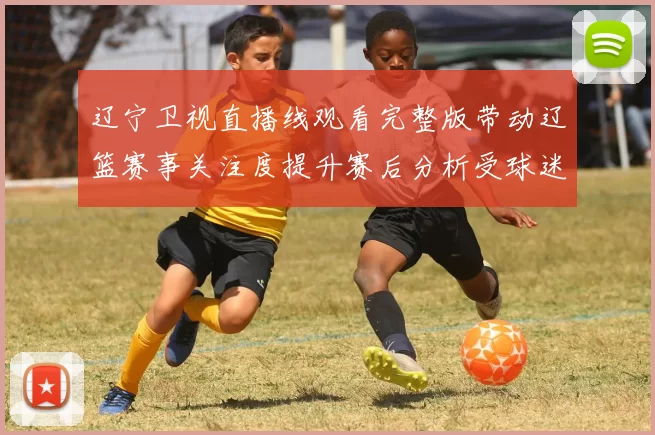 辽宁卫视直播线观看完整版带动辽篮赛事关注度提升赛后分析受球迷热议