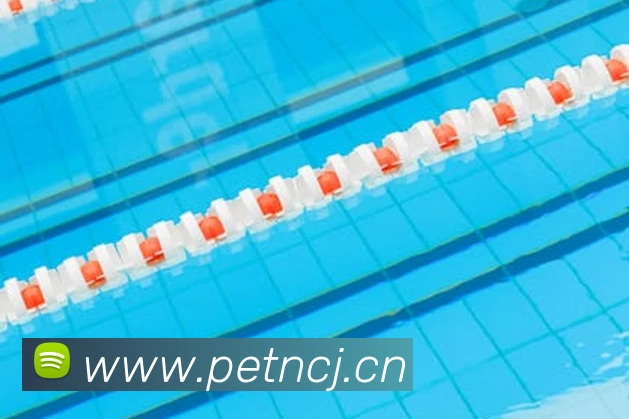 米乐|米乐YY易游·M6(中国大陆)官方网站APP 高清赛事图